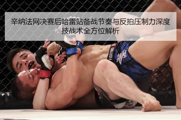 辛纳法网决赛后哈雷站备战节奏与反拍压制力深度技战术全方位解析